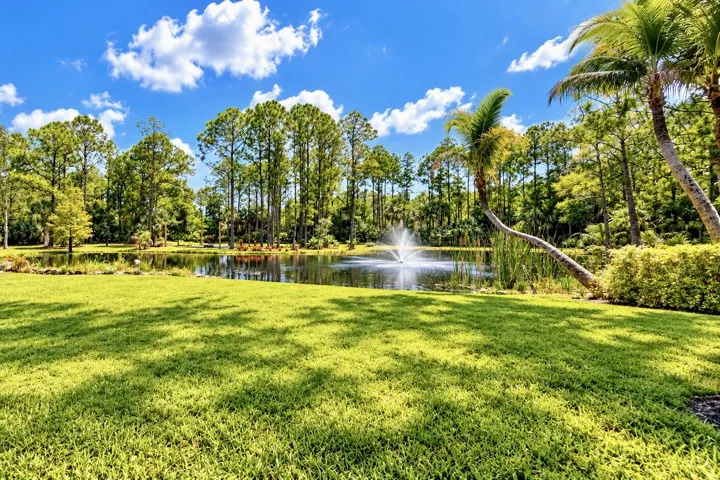 Lake with Fountain and Firepit / Seating Area to enjoy nature and cozy nights outside.