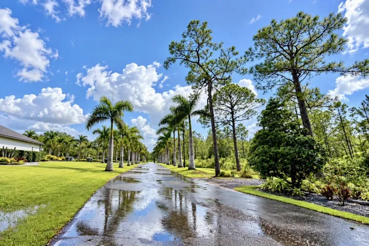 alt view of driveway