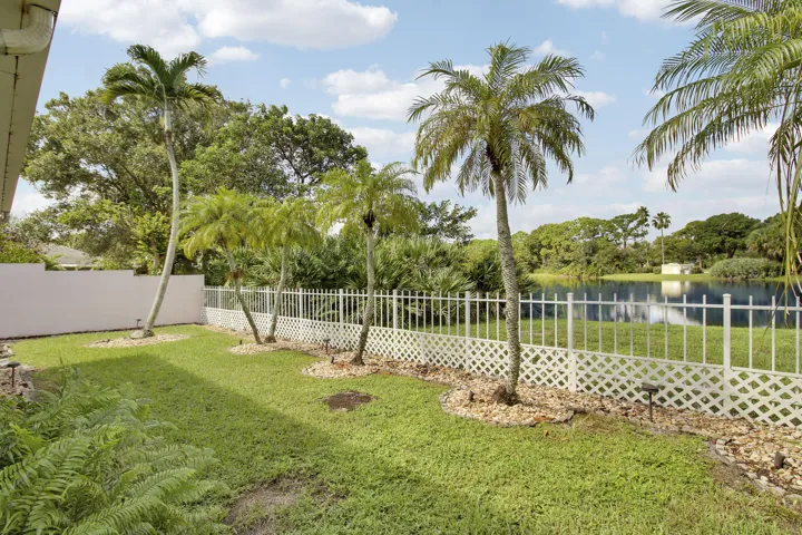 Grassy backyard featuring a white lattice fence, mature palm trees, and a tranquil pond