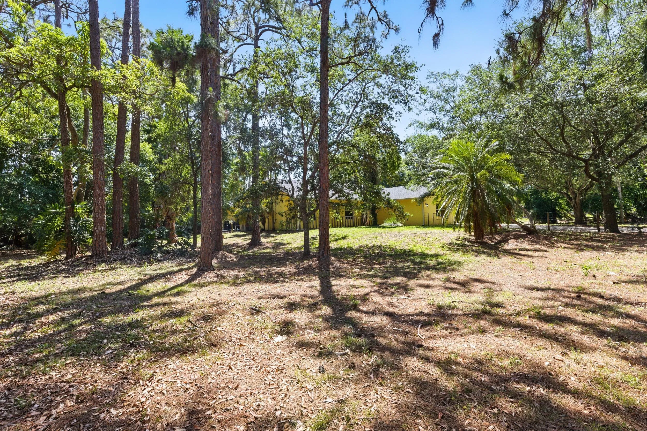 Property photo 42