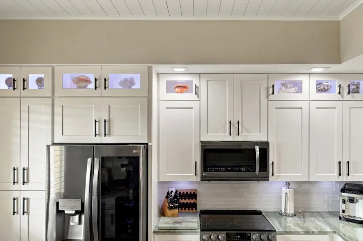 Glass Door Top Cabinetry with Hard-Wired Lighting (ability to change colors). Custom Shiplap Ceiling