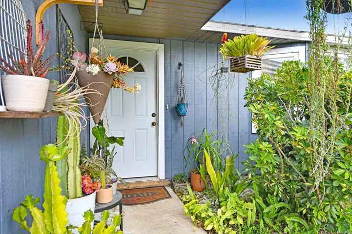 28-web-or-mls-DSC_6078