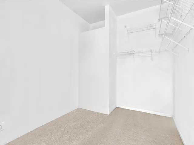 Large Primary Bedroom Closet