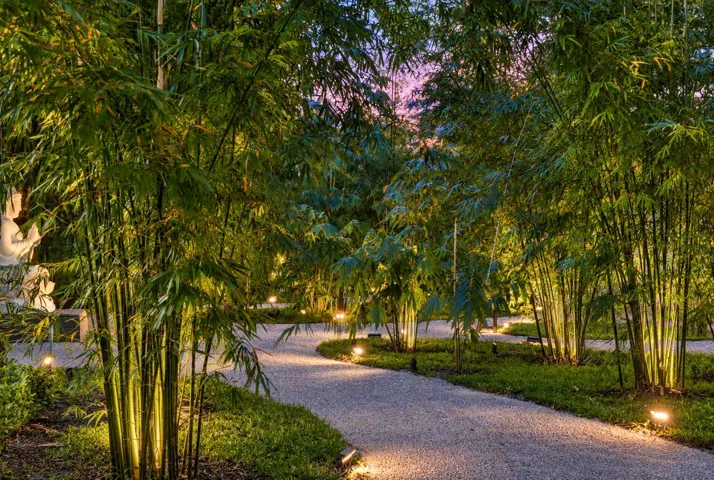 BAMBOO WALKWAYS