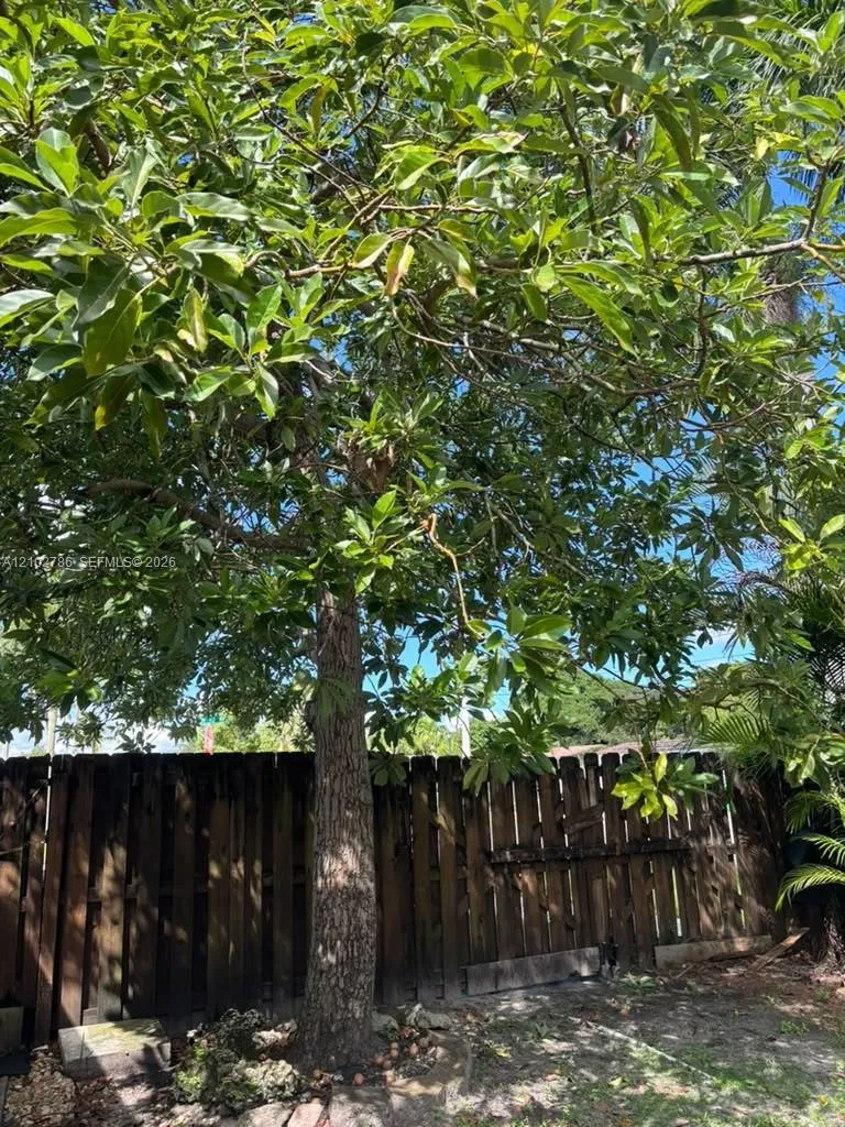 Property photo 42