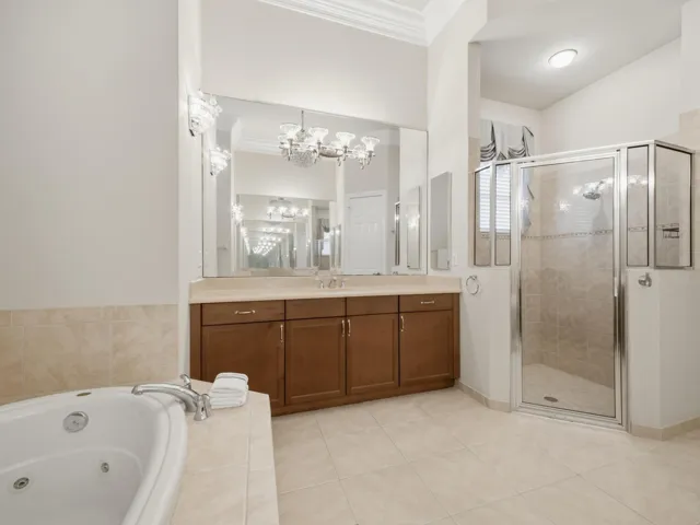 Primary Bathroom 2
