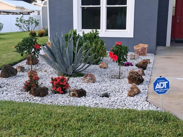 cactus/flower garden