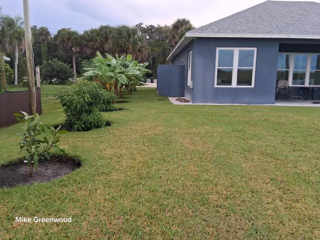 side view showing banana, mango and avocado trees