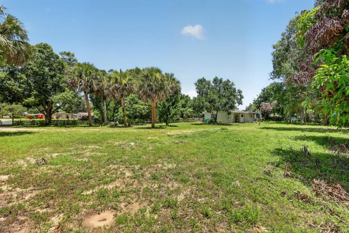 Expansive grassy lot featuring a variety of mature trees and established palm trees