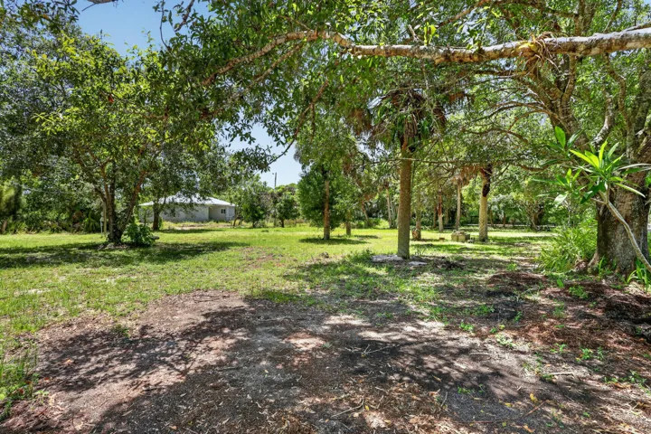 Expansive property lot featuring mature trees, partial clearing, and natural landscaping