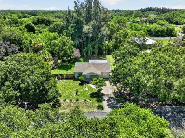 Single-story residence set amidst mature trees with a visible driveway leading to the street