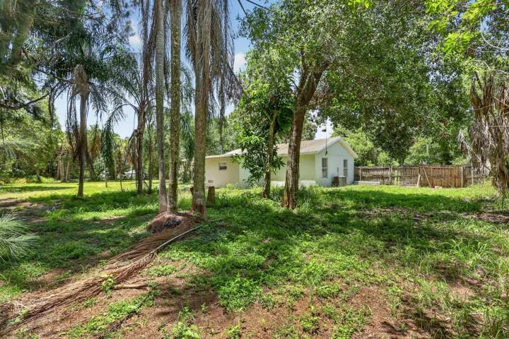 Expansive outdoor space featuring a mix of mature palm trees and deciduous trees