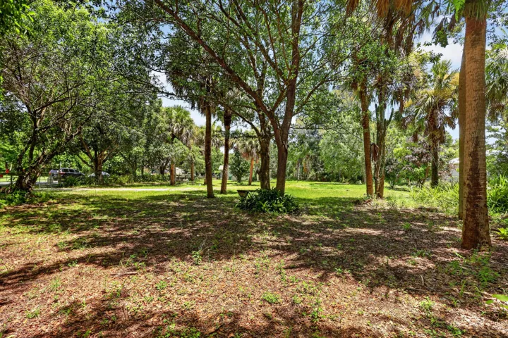 Wooded lot featuring mature trees, palm trees, a grassed clearing, and ample natural light