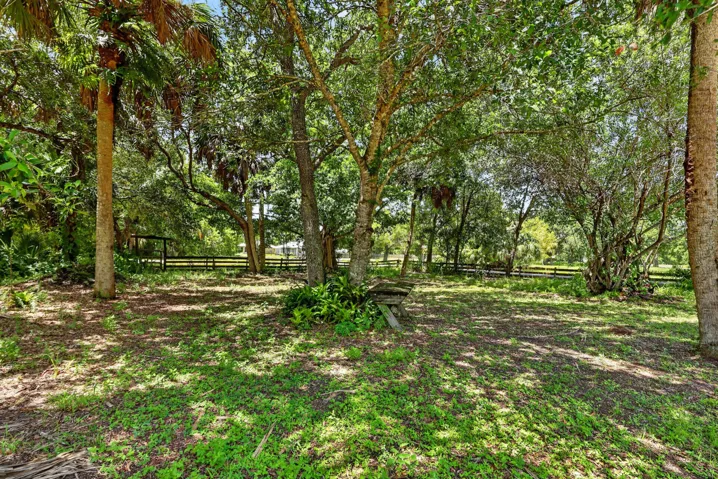 Expansive natural landscape featuring lush greenery and mature trees