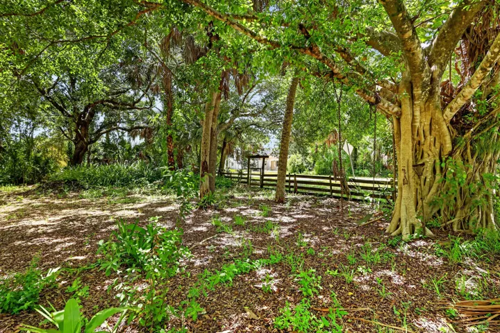 Mature trees and foliage provide natural shading