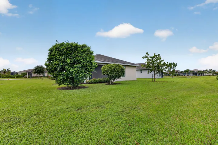 41-web-or-mls-3A5A2197