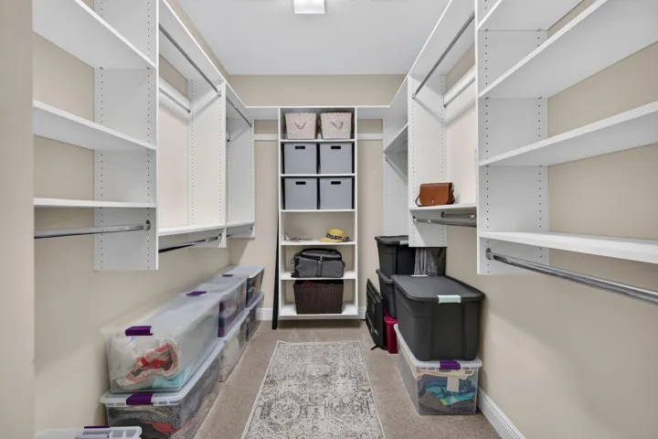 33-web-or-mls-3A5A2031