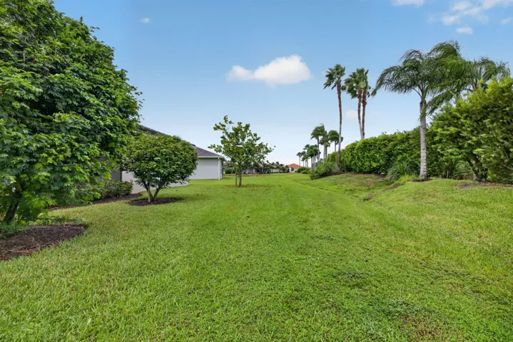 44-web-or-mls-3A5A2211