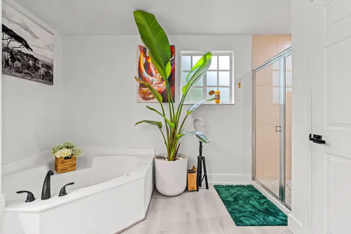 24-web-or-mls-24