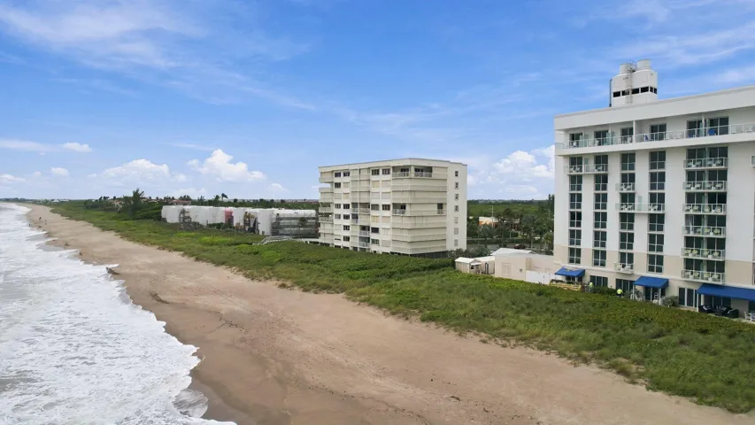 Beachfront location with direct sand access, surrounded by abundant natural vegetation