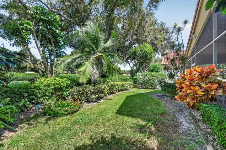 Rear Garden View