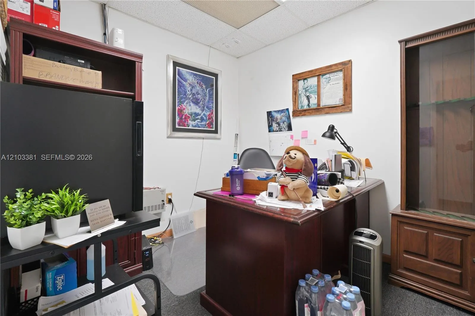 Property photo 29