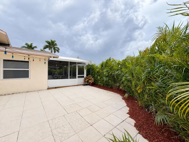 Soft daylight on a palm-lined patio