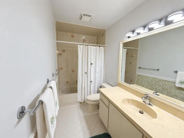 Brightened Bathroom in Natural Light