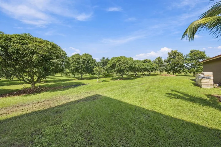 77__jjl2375