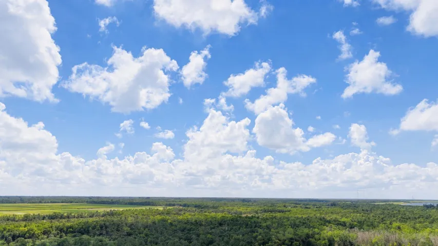 93_dji_20261004111853_0339_d