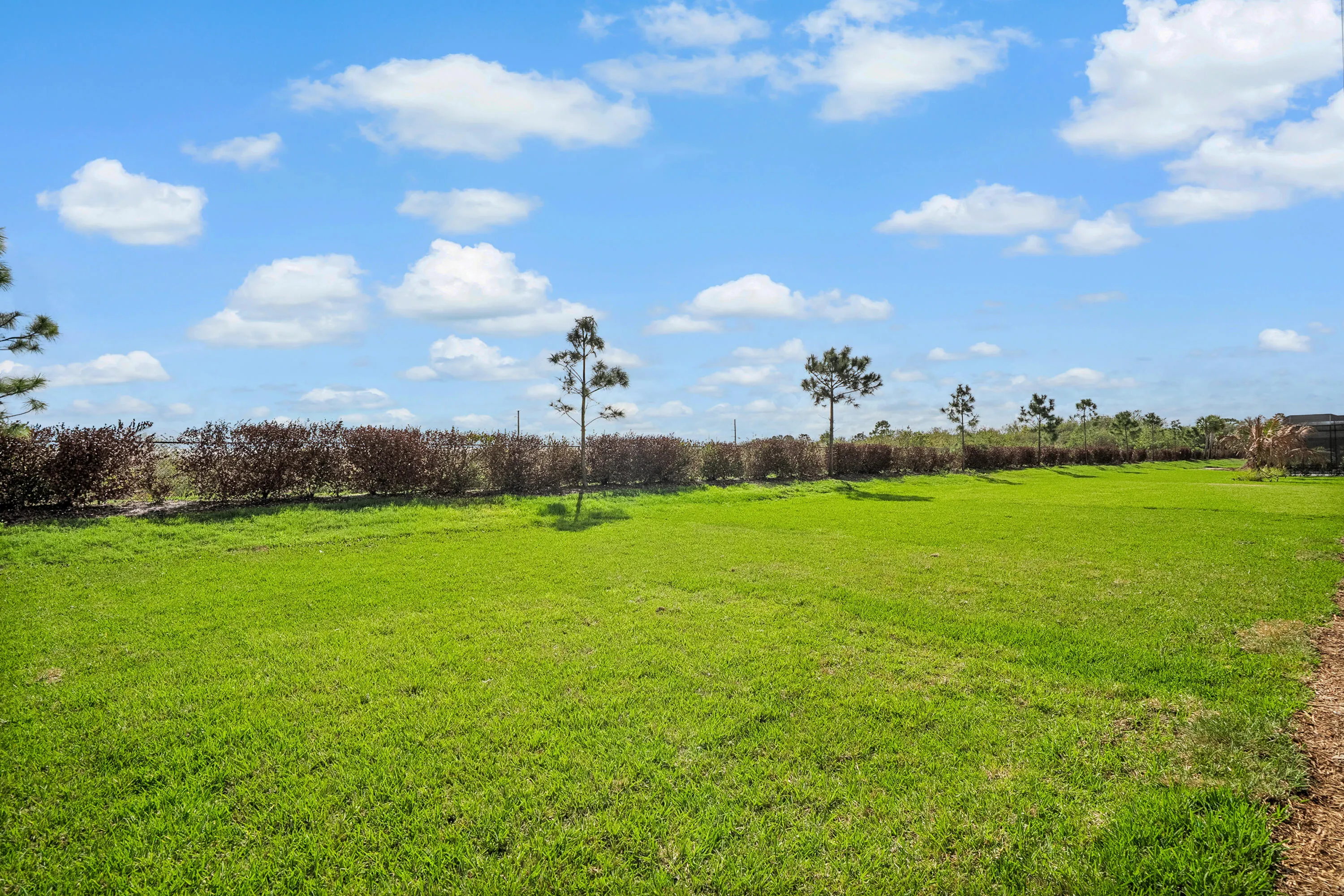Property photo 59