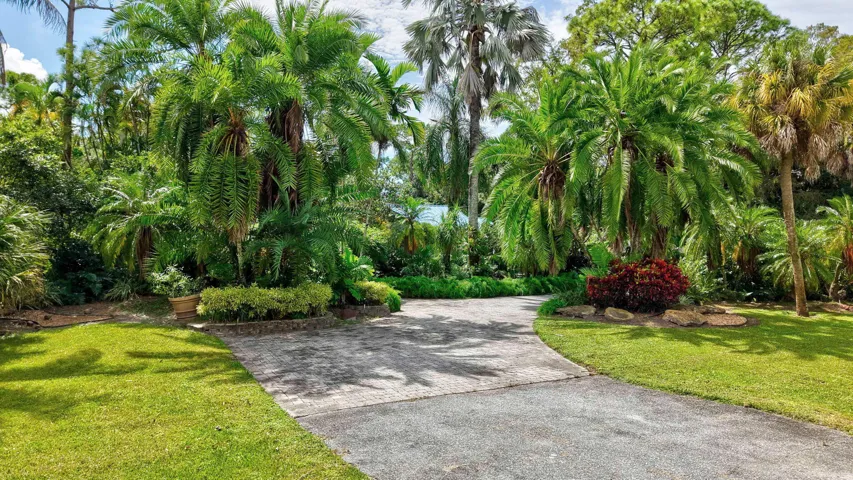 Circular driveway with lush landscaping makes the house feel like a secret garden