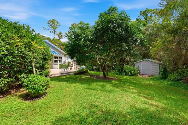 Backyard with fruit trees and storage shed