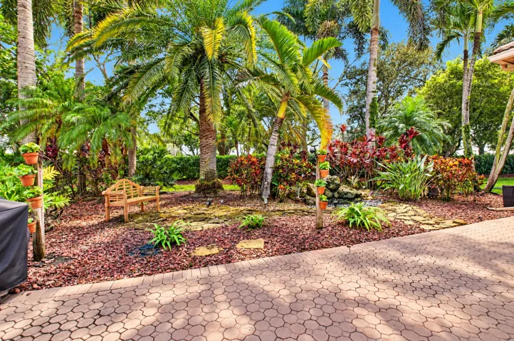 Patio/Garden View