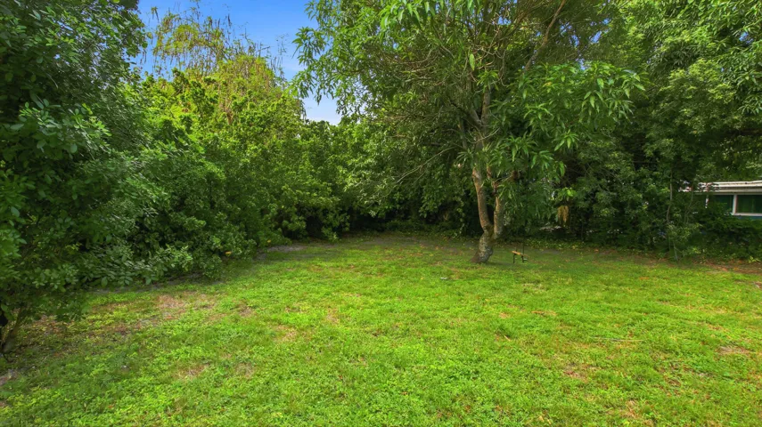 Spacious Yard