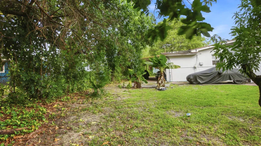 Spacious Yard