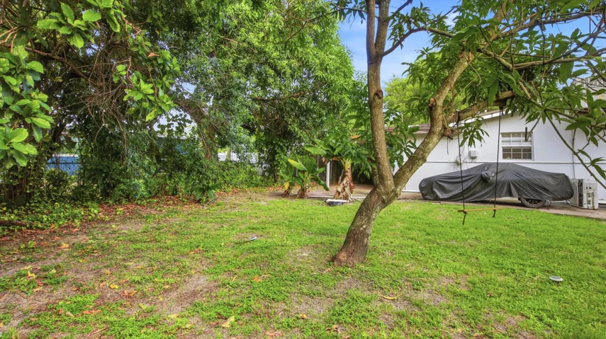 Spacious Yard
