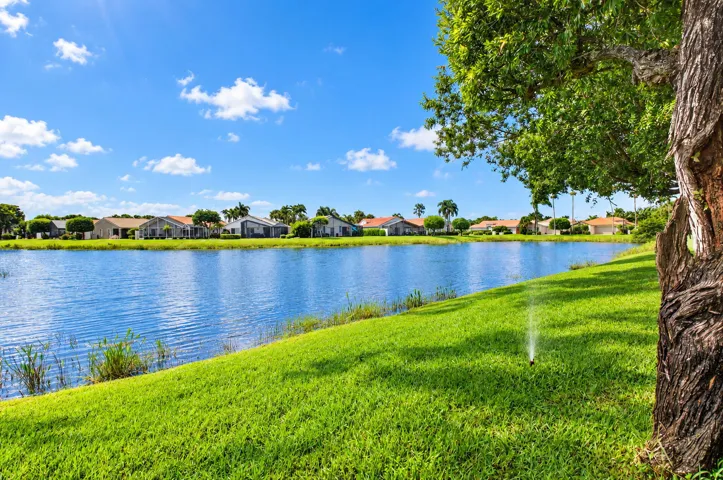 Water view