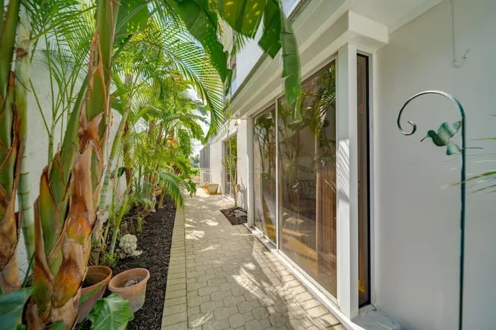 Patio 1