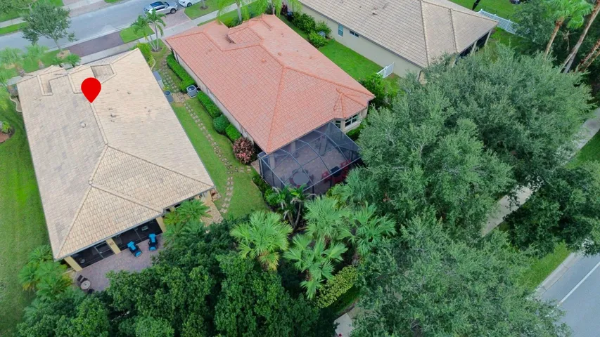 Aerial Rear