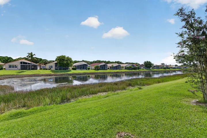 35-web-or-mls-3A5A1842