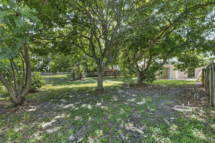 Backyard