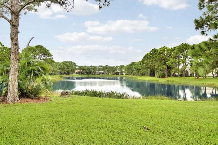 Long Lake Views