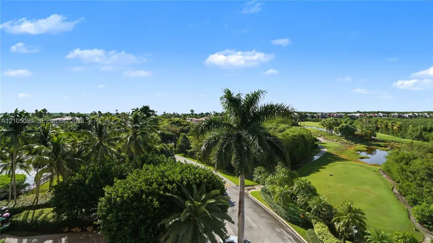 Aerial perspective featuring a manicured golf course, native landscaping, established palm trees, and water features
