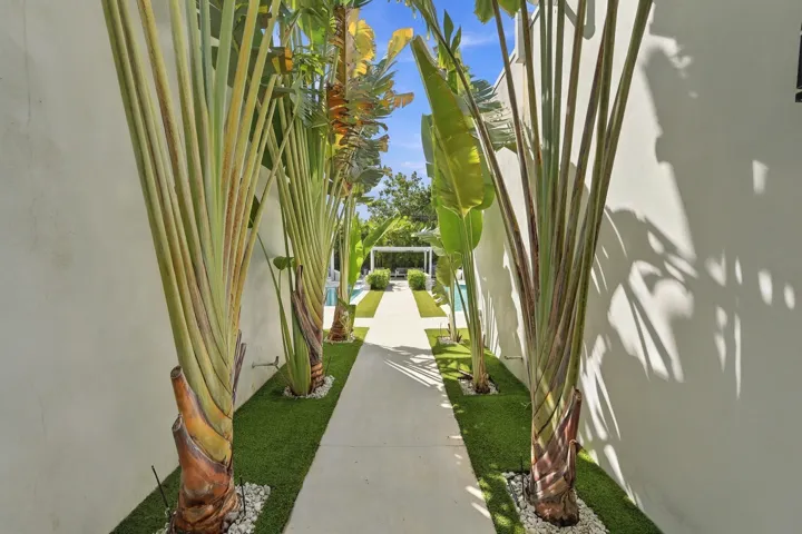 Walkway with white walls, artificial turf, white gravel, and mature palm trees
