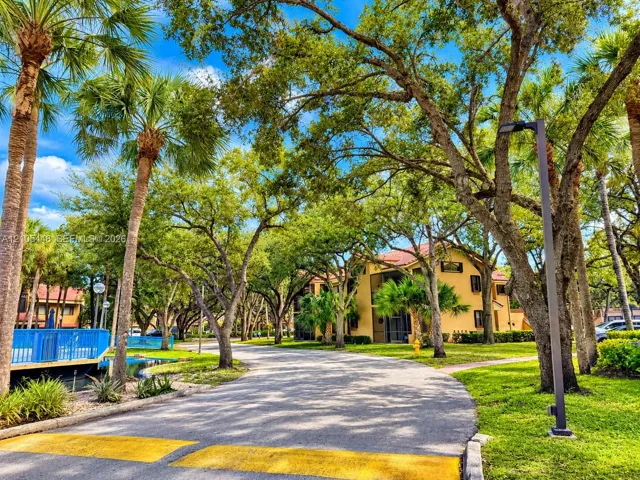 Asphalt drive featuring mature canopy trees, palm landscaping, and integrated exterior lighting