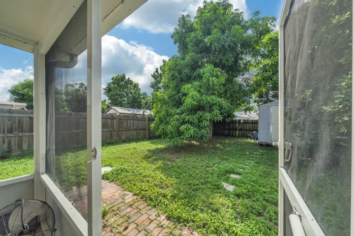 14 backyard (1)