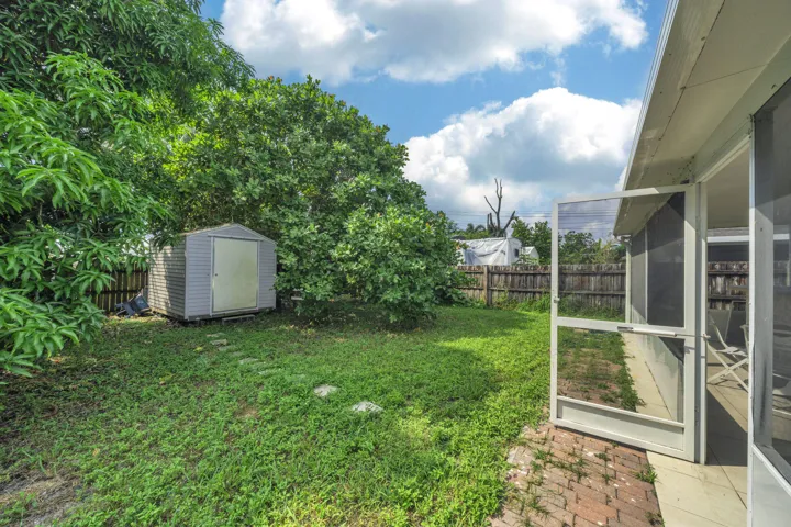 14 backyard (3)