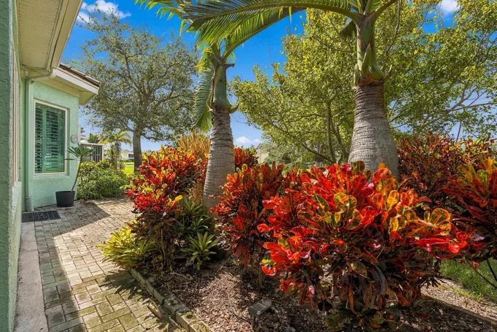 Patio-Vegetation