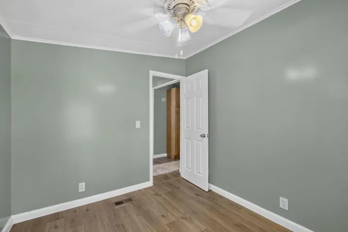 Wood-finish flooring, light green walls, white trim, and a ceiling fan with light fixture